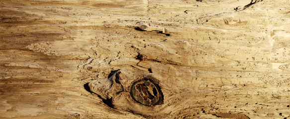 Brauner, alter Holz / Treibholz Hintergrund, Textur, leer
