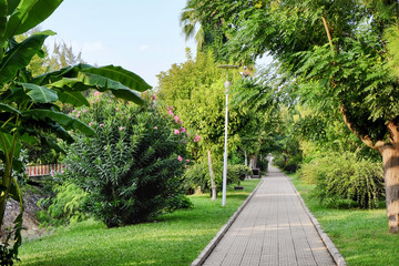 Beautiful view of path in park