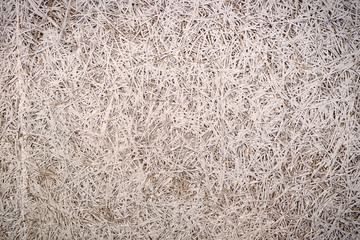 Painted dry grass as background