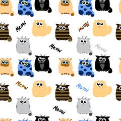 funny cats on white background