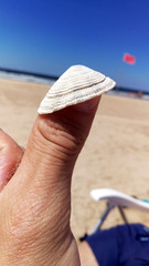 Pulgar del verano