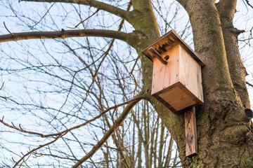 Wooden birdhouse on a tree