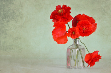Anniversary card with red poppies in a vase