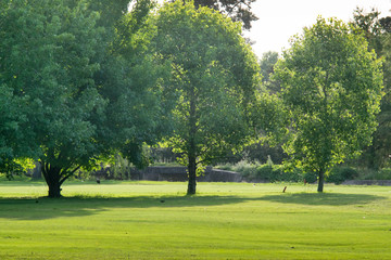 Beautiful golf course
