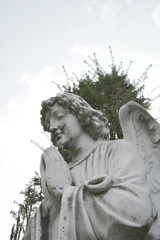 Beautiful face angel close up.  Stone sculpture with a kind expression. Detail fragment of statue...
