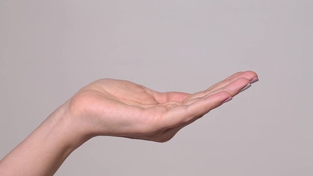 Close-up view of one female adult outstretched caucasian hand on white background holding nothing. Young woman's hand in gesture as if showing something virtual and invisible. Advertisement concept.
