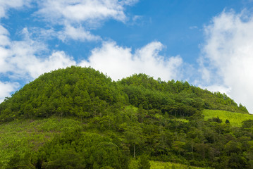 Fototapeta na wymiar Mountains rural view of Alta Verapaz, Guatemala, road to Semuc Champey