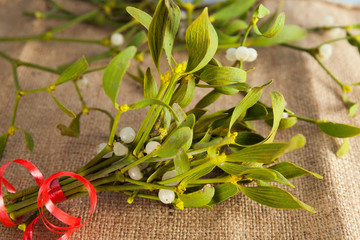 Green mistletoe close up