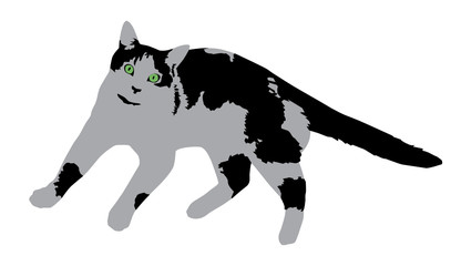 Black-white vector cat