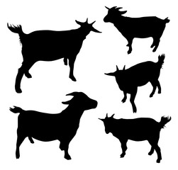 Vector set of goat silhouettes