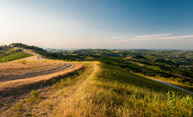 Fototapeta na wymiar Hills in Oltrepo' Pavese during the golden hour