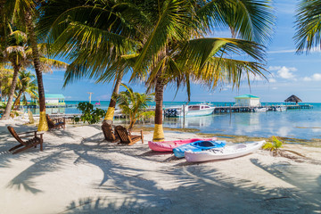 Palms and beach at Caye Caulker island, Belize - obrazy, fototapety, plakaty