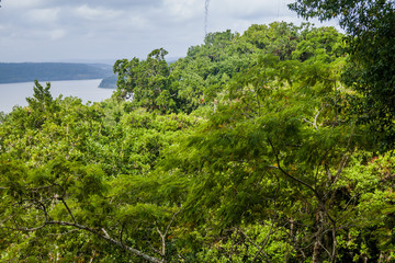 Jungle and Laguna Yaxha lake, Guatemala