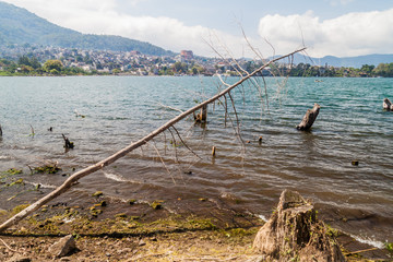 Fototapeta na wymiar Coast of Atitlan lake, Guatemala. Rising levels of this lake causing submersion of trees. Santiago Atitlan village visible.
