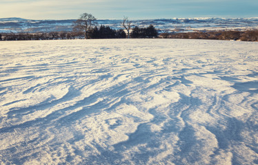 Winter Landscaoe with Ripple Marks on Snow
