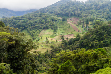 Fototapeta na wymiar Lush landscape near Boquete, Panama