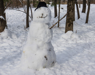 snowman  with twigs for  eyes, nose and mouth and a black hat 
