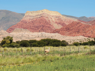 Cerro de los 7 colores, Salta, Argentina