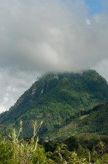 Obraz na płótnie Canvas Foggy summer morning in the green mountains. landscape in Guatemala, Alta Verapaz.