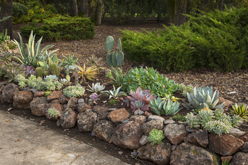 Landscaping with succulents and rocks