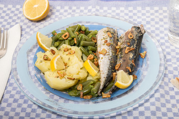 Portuguese mackerel fish meal