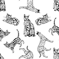 Seamless pattern of hand drawn sketch style bengal cats and servals. Vector illustration isolated on white background.