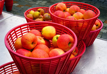 Red baskets of fresh heirloom apples at a French farmers market