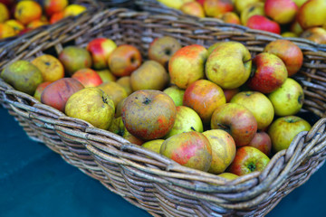 Crates of fresh heirloom apples at a French farmers market