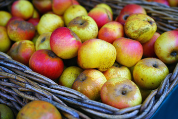 Crates of fresh heirloom apples at a French farmers market