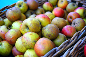 Crates of fresh heirloom apples at a French farmers market