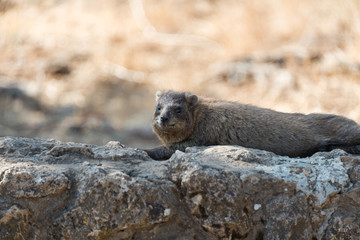 Visiting Banias Nature Reserve in Northern Israel