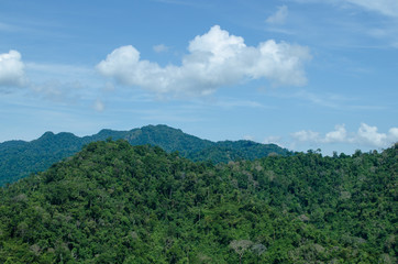 Fototapeta na wymiar lansscape forest in thailand