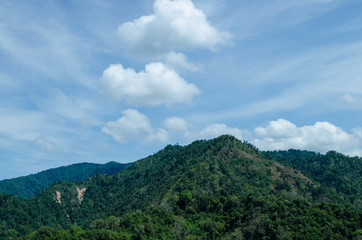 lansscape forest in thailand