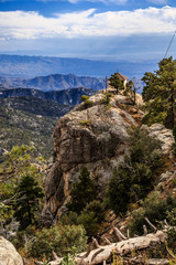 Mt Lemmon Lookout