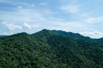 Fototapeta premium lansscape forest in thailand