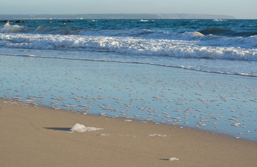 Seafoam detail on waters edge