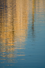 Marine background texture