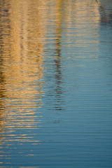 Marine background texture