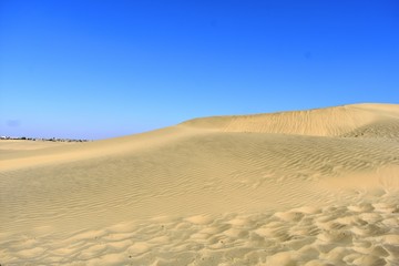 sam sand dunes in thar desert jaisalmer rajasthan india
