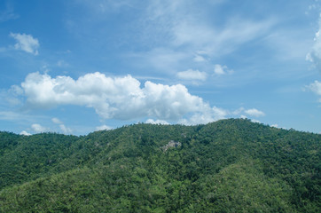 Obraz premium lansscape forest in thailand