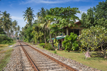 Fototapeta na wymiar railway tracks in a rural scene