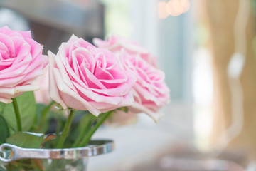 pink rose in vase