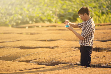 Farmer researching plant in tobacco farm. Agriculture and scientist concept.