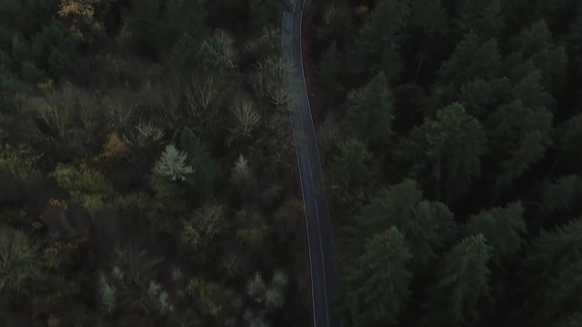 Aerial Woods Road