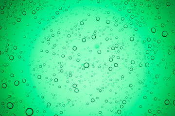 Fototapeta na wymiar Rain droplets on green glass background, Water drops on glass.