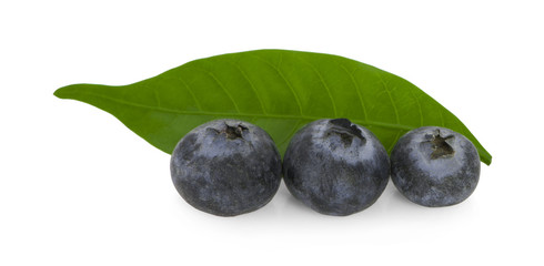 Blueberries isolated on white background