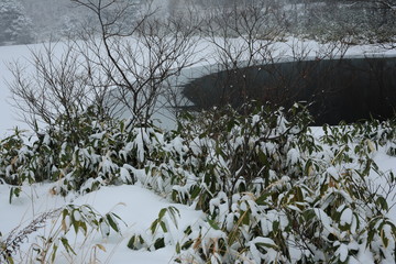 冬の志賀高原　木戸池