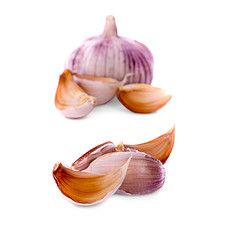 garlic on white background
