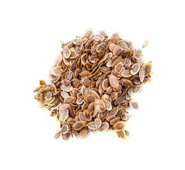 spices - fennel, dill seeds (Anethum graveolens)  isolated, white background The plant is used in medicine, in perfumery and cosmetics,