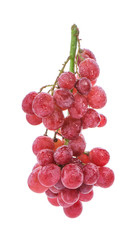 Red grape isolated on white background